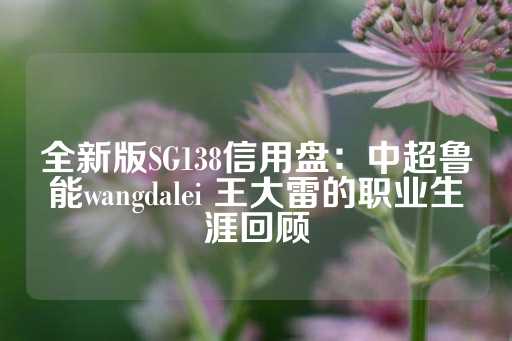 全新版SG138信用盘：中超鲁能wangdalei 王大雷的职业生涯回顾