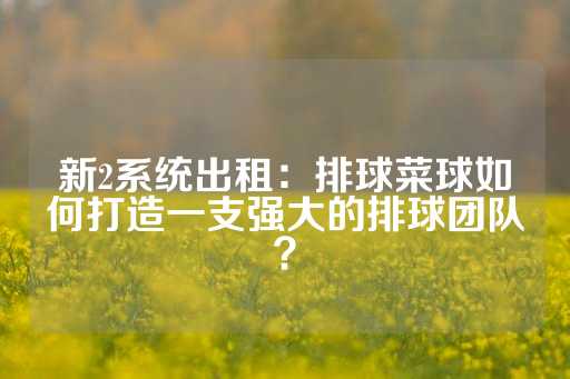 新2系统出租：排球菜球如何打造一支强大的排球团队？