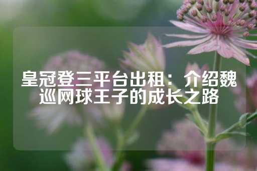 皇冠登三平台出租：介绍魏巡网球王子的成长之路