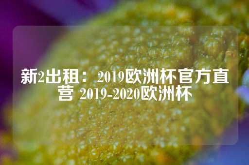 新2出租：2019欧洲杯官方直营 2019-2020欧洲杯-第1张图片-皇冠信用盘出租