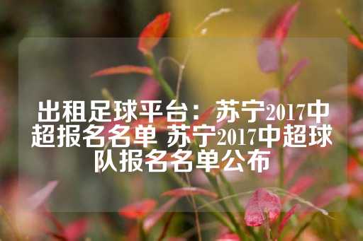 出租足球平台：苏宁2017中超报名名单 苏宁2017中超球队报名名单公布-第1张图片-皇冠信用盘出租