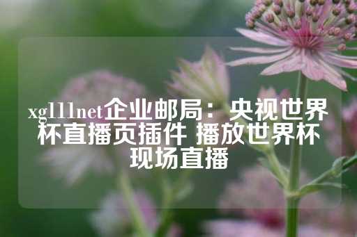 xg111net企业邮局：央视世界杯直播页插件 播放世界杯现场直播-第1张图片-皇冠信用盘出租