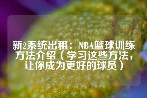 新2系统出租：NBA篮球训练方法介绍（学习这些方法，让你成为更好的球员）