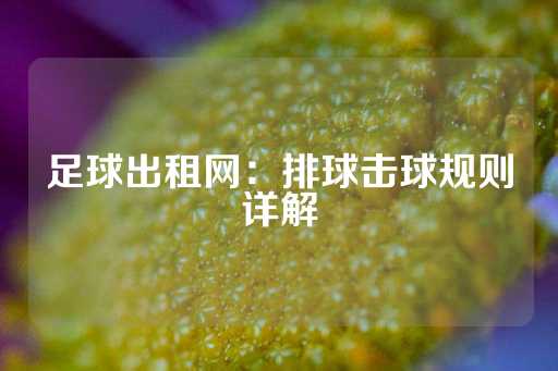 足球出租网：排球击球规则详解-第1张图片-皇冠信用盘出租