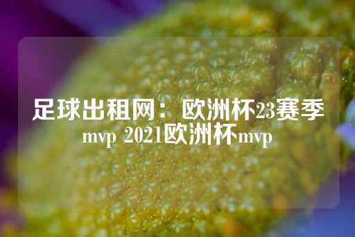 足球出租网：欧洲杯23赛季mvp 2021欧洲杯mvp-第1张图片-皇冠信用盘出租