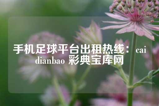 手机足球平台出租热线：caidianbao 彩典宝库网