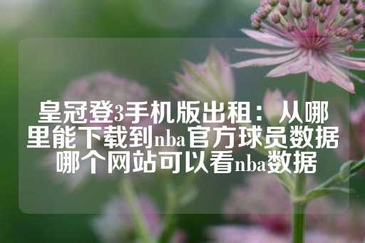 皇冠登3手机版出租：从哪里能下载到nba官方球员数据 哪个网站可以看nba数据-第1张图片-皇冠信用盘出租