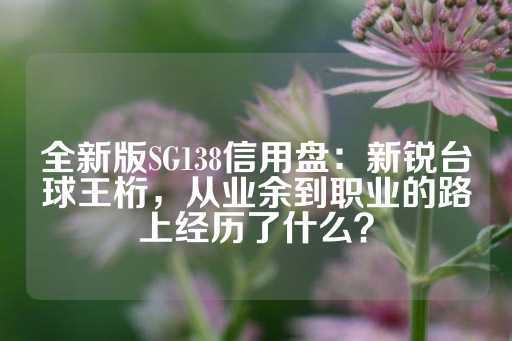 全新版SG138信用盘：新锐台球王桁，从业余到职业的路上经历了什么？