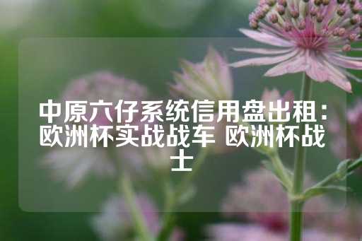 中原六仔系统信用盘出租：欧洲杯实战战车 欧洲杯战士-第1张图片-皇冠信用盘出租