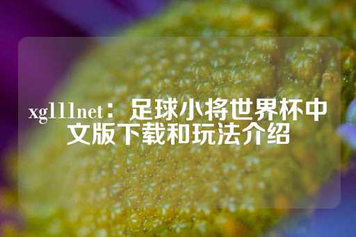 xg111net：足球小将世界杯中文版下载和玩法介绍