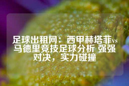 足球出租网：西甲赫塔菲vs马德里竞技足球分析 强强对决，实力碰撞-第1张图片-皇冠信用盘出租