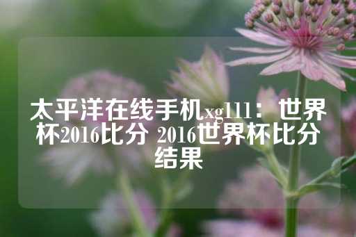 太平洋在线手机xg111：世界杯2016比分 2016世界杯比分结果