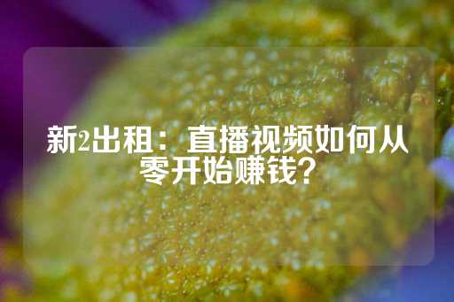 新2出租：直播视频如何从零开始赚钱？