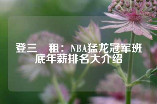 登三岀租：NBA猛龙冠军班底年薪排名大介绍-第1张图片-皇冠信用盘出租