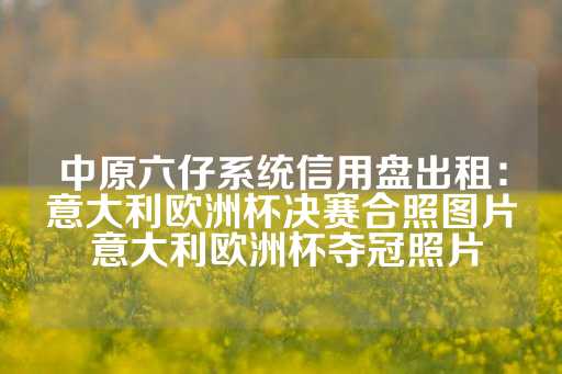 中原六仔系统信用盘出租：意大利欧洲杯决赛合照图片 意大利欧洲杯夺冠照片-第1张图片-皇冠信用盘出租