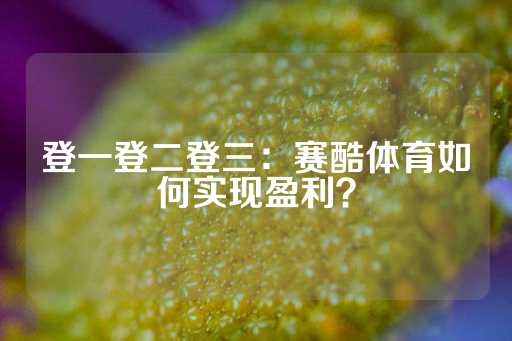 登一登二登三：赛酷体育如何实现盈利？-第1张图片-皇冠信用盘出租