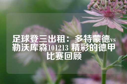 足球登三出租：多特蒙德vs勒沃库森101213 精彩的德甲比赛回顾