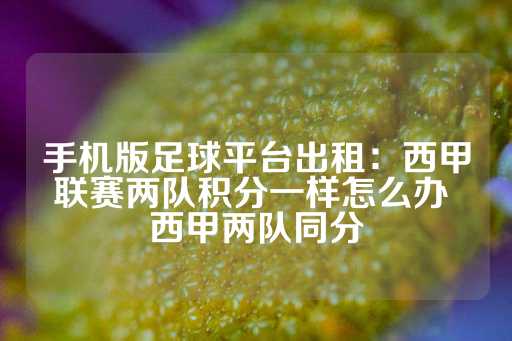 手机版足球平台出租：西甲联赛两队积分一样怎么办 西甲两队同分-第1张图片-皇冠信用盘出租