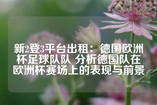 新2登3平台出租：德国欧洲杯足球队队 分析德国队在欧洲杯赛场上的表现与前景