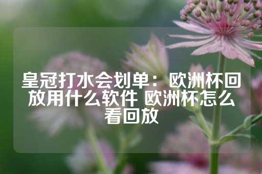 皇冠打水会划单：欧洲杯回放用什么软件 欧洲杯怎么看回放-第1张图片-皇冠信用盘出租