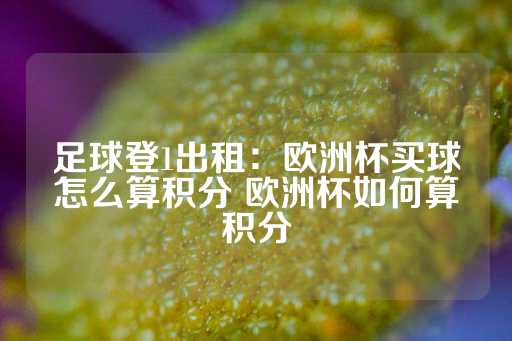 足球登1出租：欧洲杯买球怎么算积分 欧洲杯如何算积分