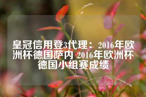 皇冠信用登3代理：2016年欧洲杯德国萨内 2016年欧洲杯德国小组赛成绩-第1张图片-皇冠信用盘出租