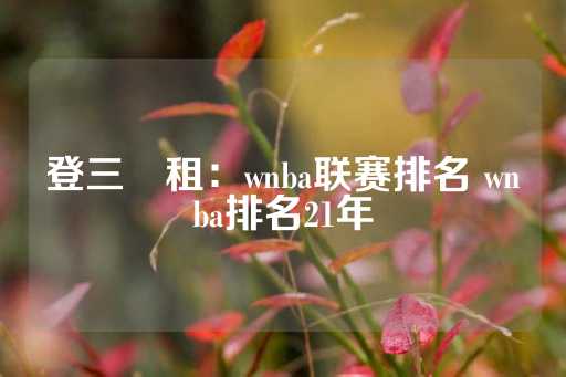 登三岀租：wnba联赛排名 wnba排名21年