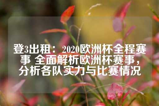 登3出租：2020欧洲杯全程赛事 全面解析欧洲杯赛事，分析各队实力与比赛情况