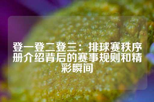 登一登二登三：排球赛秩序册介绍背后的赛事规则和精彩瞬间