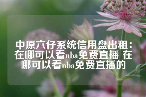 中原六仔系统信用盘出租：在哪可以看nba免费直播 在哪可以看nba免费直播的