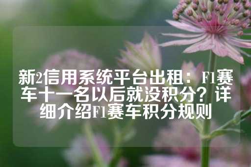 新2信用系统平台出租：F1赛车十一名以后就没积分？详细介绍F1赛车积分规则