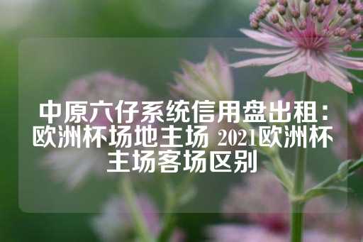 中原六仔系统信用盘出租：欧洲杯场地主场 2021欧洲杯主场客场区别-第1张图片-皇冠信用盘出租