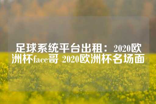 足球系统平台出租：2020欧洲杯face哥 2020欧洲杯名场面-第1张图片-皇冠信用盘出租