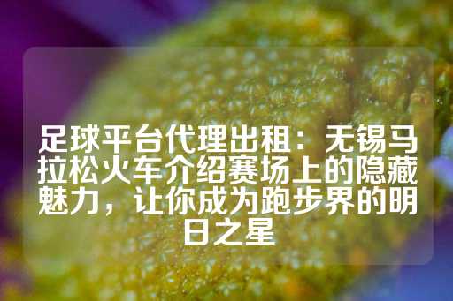 足球平台代理出租：无锡马拉松火车介绍赛场上的隐藏魅力，让你成为跑步界的明日之星