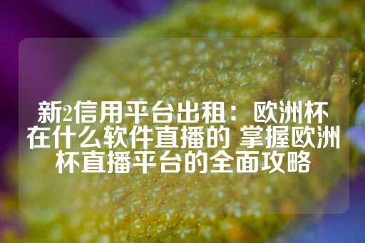 新2信用平台出租：欧洲杯在什么软件直播的 掌握欧洲杯直播平台的全面攻略-第1张图片-皇冠信用盘出租