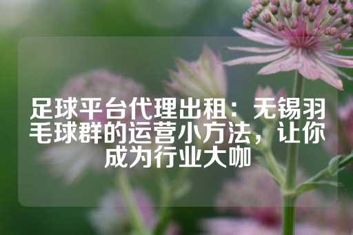 足球平台代理出租：无锡羽毛球群的运营小方法，让你成为行业大咖