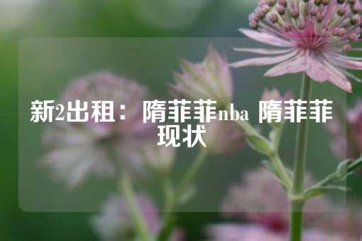 新2出租：隋菲菲nba 隋菲菲现状-第1张图片-皇冠信用盘出租