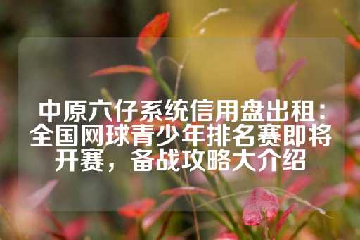 中原六仔系统信用盘出租：全国网球青少年排名赛即将开赛，备战攻略大介绍-第1张图片-皇冠信用盘出租