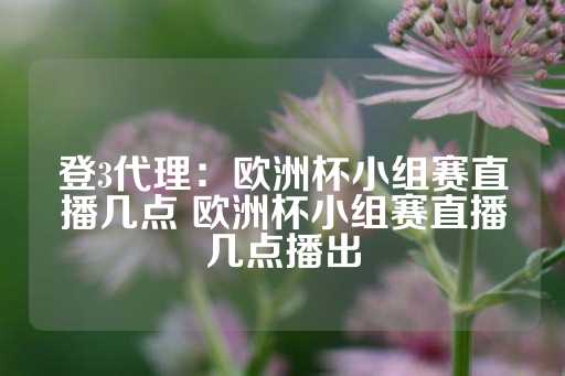 登3代理：欧洲杯小组赛直播几点 欧洲杯小组赛直播几点播出