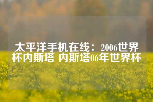 太平洋手机在线：2006世界杯内斯塔 内斯塔06年世界杯-第1张图片-皇冠信用盘出租