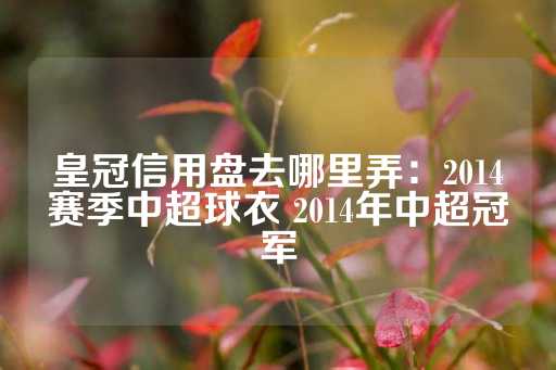 皇冠信用盘去哪里弄：2014赛季中超球衣 2014年中超冠军-第1张图片-皇冠信用盘出租