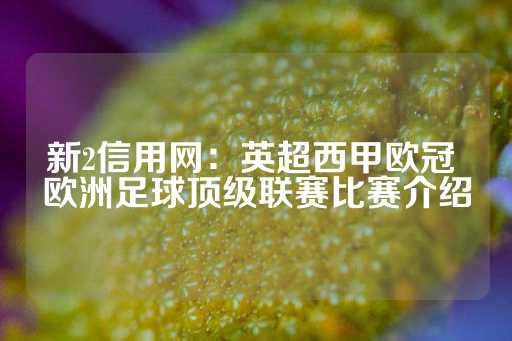 新2信用网：英超西甲欧冠 欧洲足球顶级联赛比赛介绍