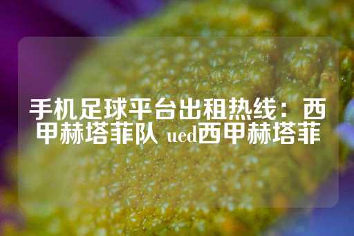 手机足球平台出租热线：西甲赫塔菲队 ued西甲赫塔菲-第1张图片-皇冠信用盘出租