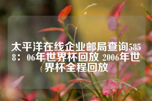 太平洋在线企业邮局查询5858：06年世界杯回放 2006年世界杯全程回放