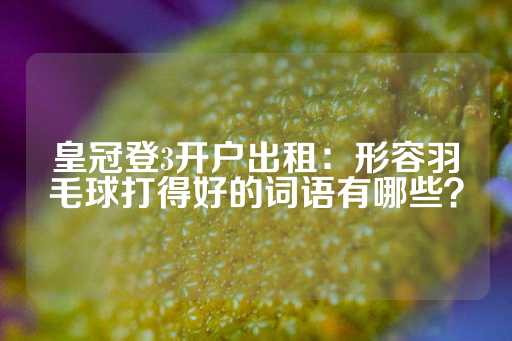 皇冠登3开户出租：形容羽毛球打得好的词语有哪些？