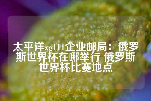 太平洋xg111企业邮局：俄罗斯世界杯在哪举行 俄罗斯世界杯比赛地点-第1张图片-皇冠信用盘出租