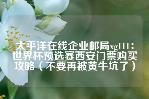 太平洋在线企业邮局xg111：世界杯预选赛西安门票购买攻略（不要再被黄牛坑了）