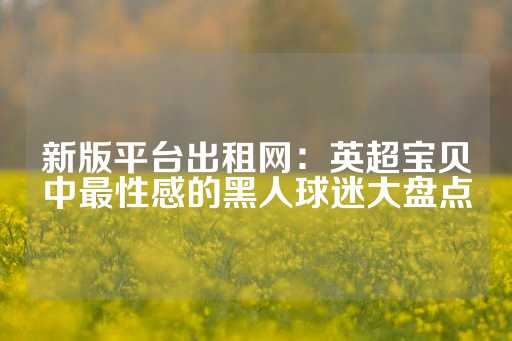 新版平台出租网：英超宝贝中最性感的黑人球迷大盘点