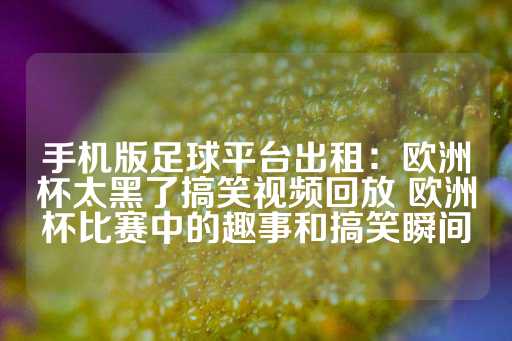 手机版足球平台出租：欧洲杯太黑了搞笑视频回放 欧洲杯比赛中的趣事和搞笑瞬间