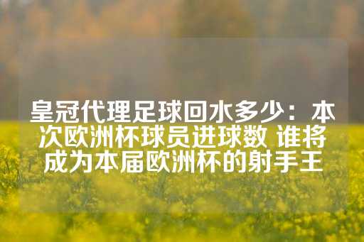 皇冠代理足球回水多少：本次欧洲杯球员进球数 谁将成为本届欧洲杯的射手王-第1张图片-皇冠信用盘出租